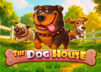 The Dog House Maksimum Ödül Analizi | rakewin 2026 The Dog House Maksimum Ödül Analizi | rakewin 2026